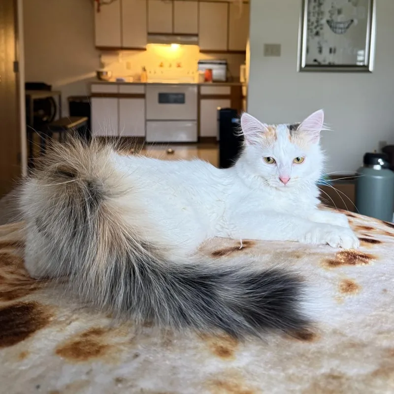 Lila West thumbnail 2