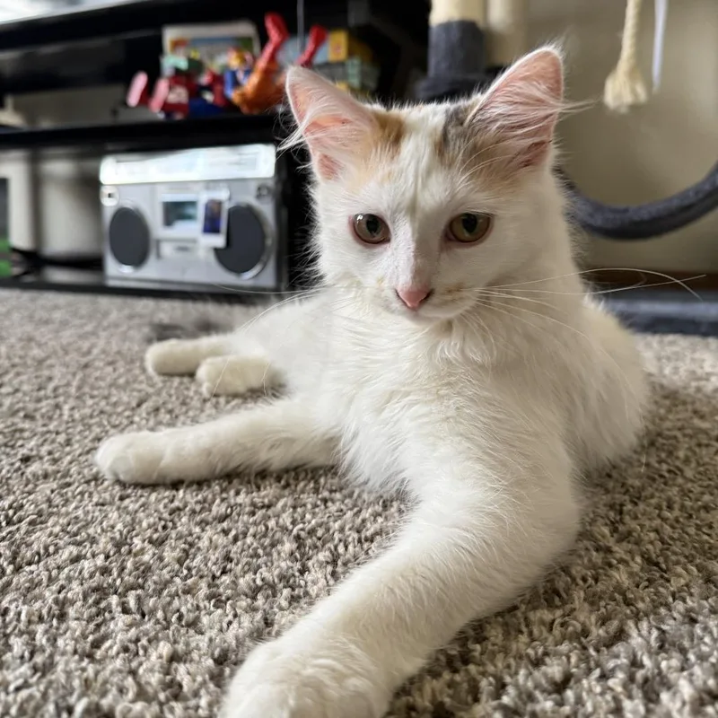 Lila West thumbnail 3