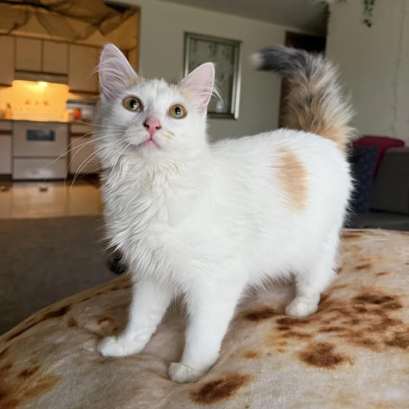 Lila West thumbnail 6