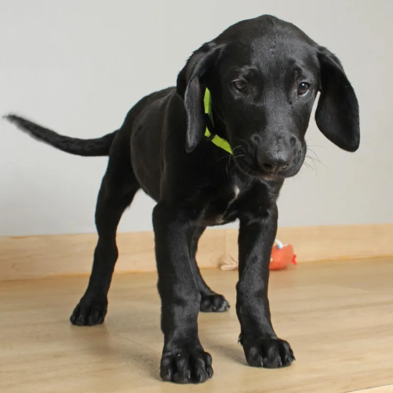 Darcy D thumbnail 2