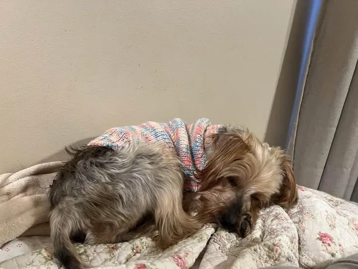 Francine thumbnail 3