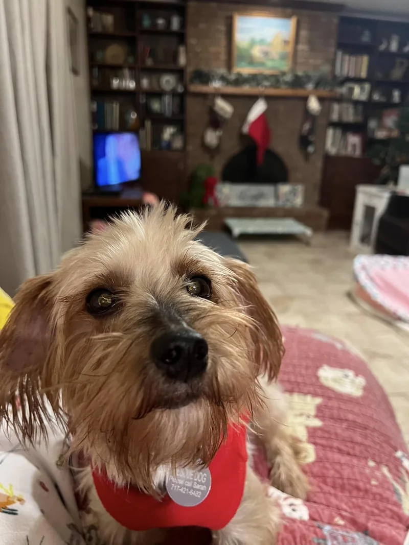 Francine thumbnail 4