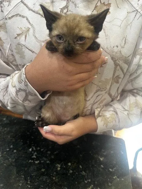 Leighton thumbnail 2