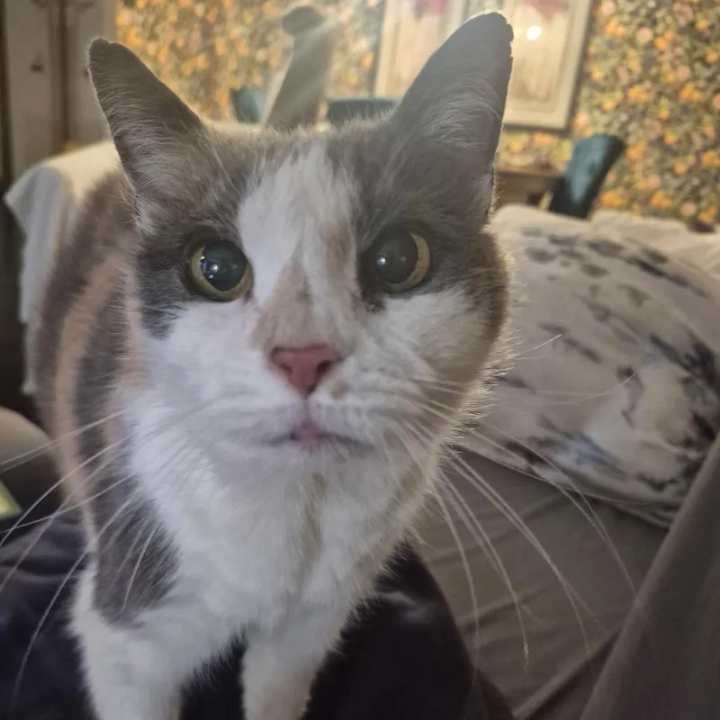 Barbara thumbnail 4