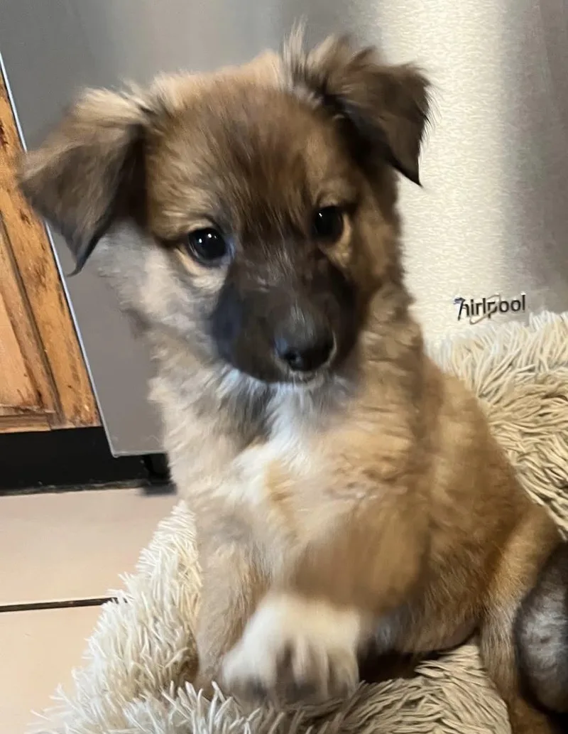 Two Socks thumbnail 5