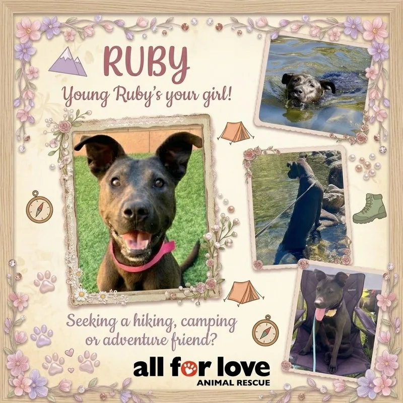 RUBY  Playful  thumbnail 3