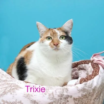 Trixie