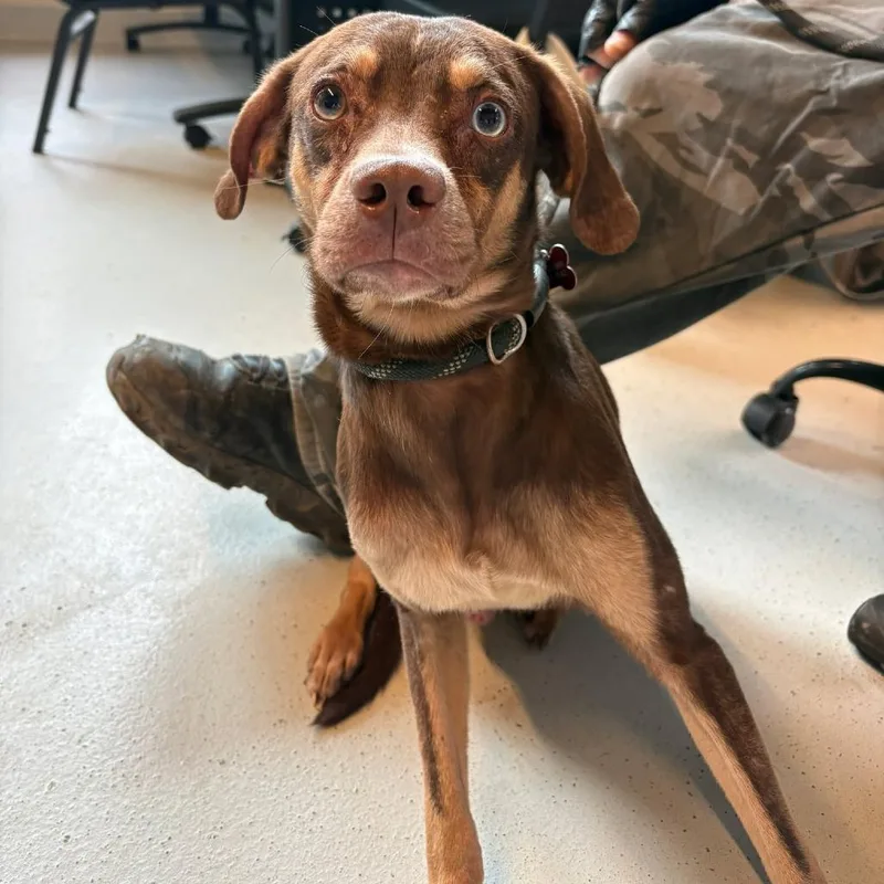 Flo Rida thumbnail 2