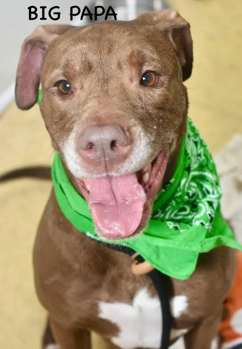 Big Papa thumbnail 3