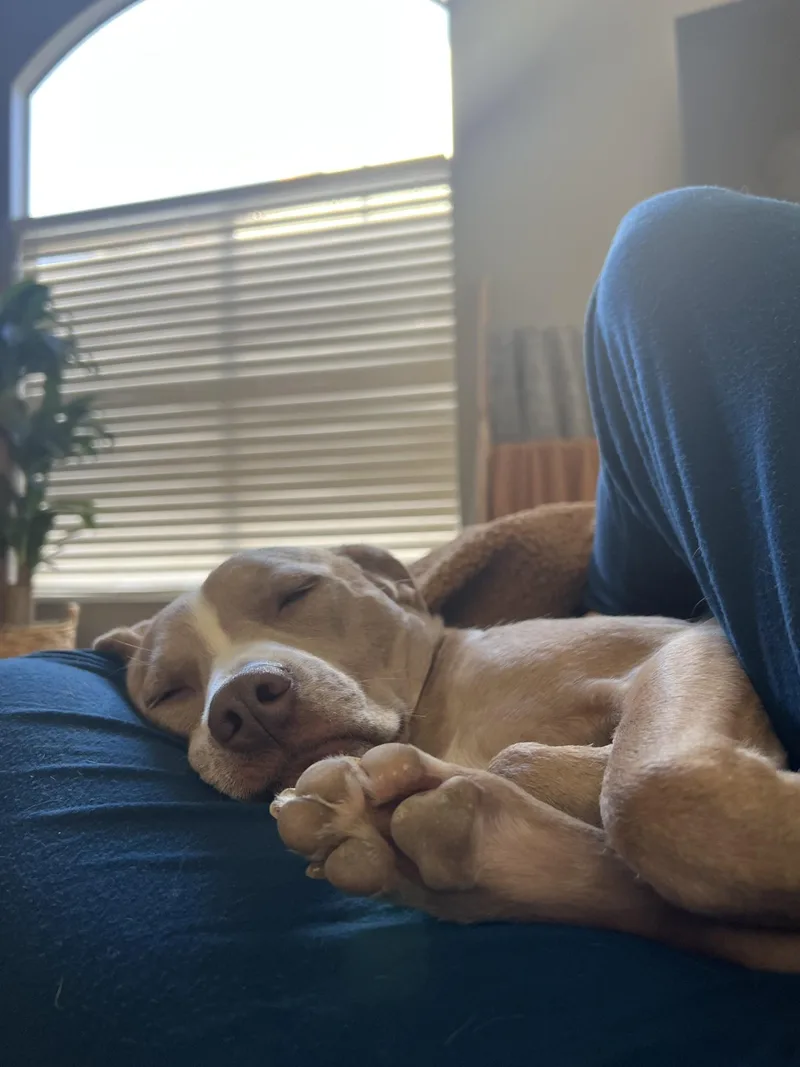 Kismetlong Beach  Ca thumbnail 2