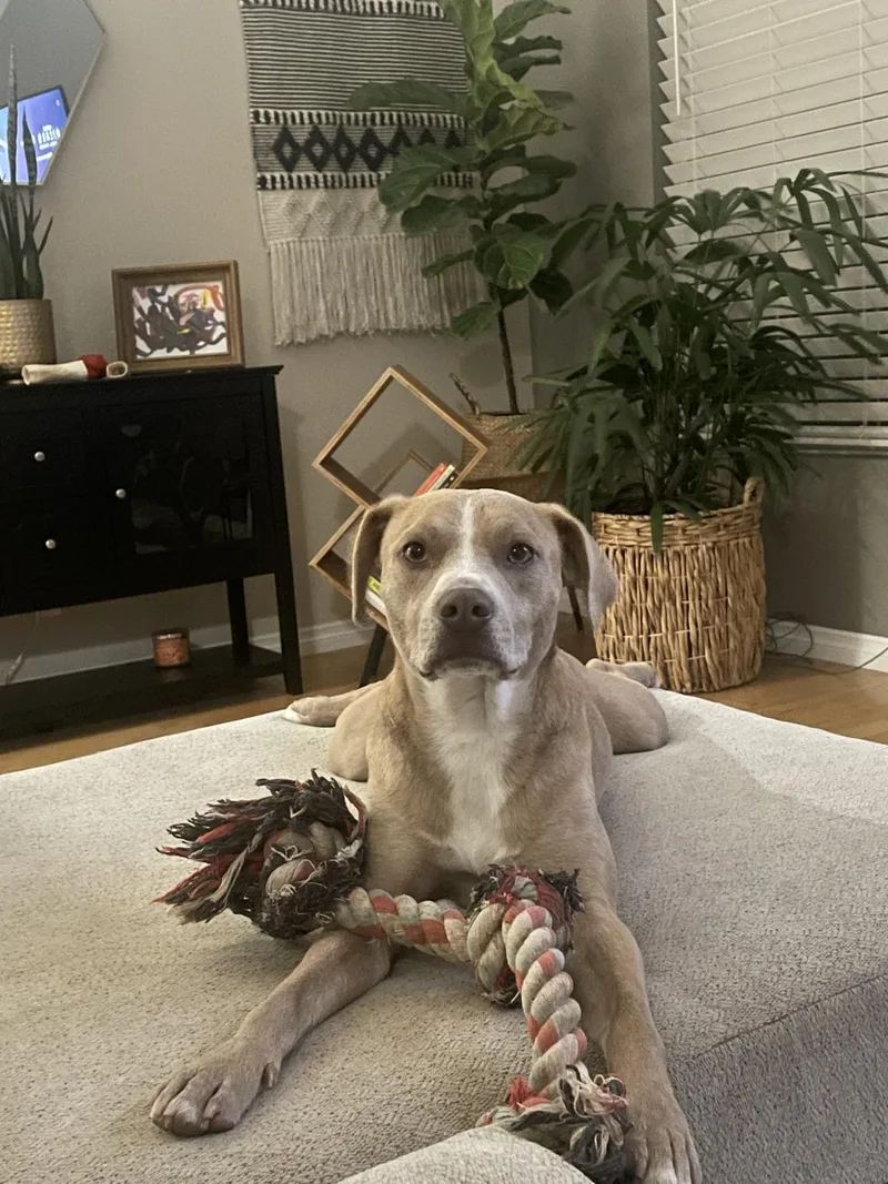 Kismetlong Beach  Ca thumbnail 4