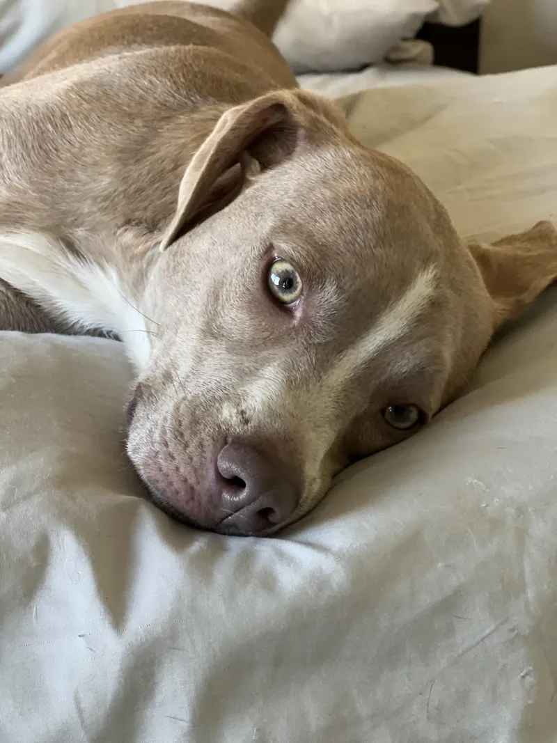 Kismetlong Beach  Ca