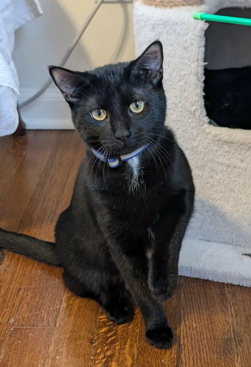 Ellie Jo thumbnail 4