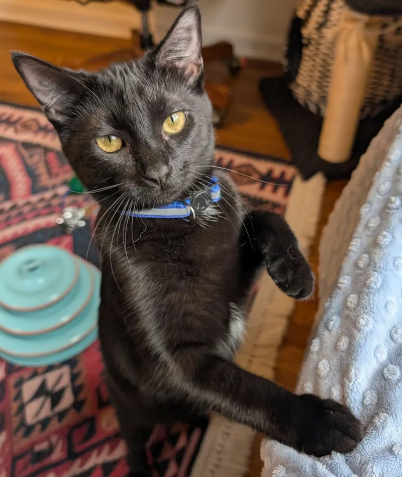 Ellie Jo thumbnail 5