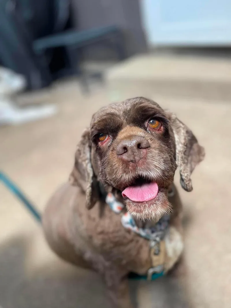 Hershey thumbnail 3