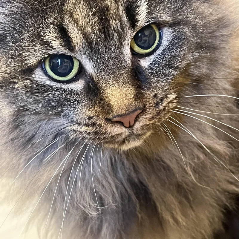 Ethel thumbnail 2