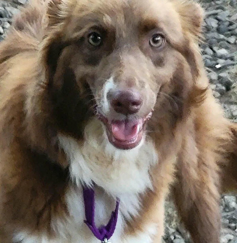 Bonnie thumbnail 3