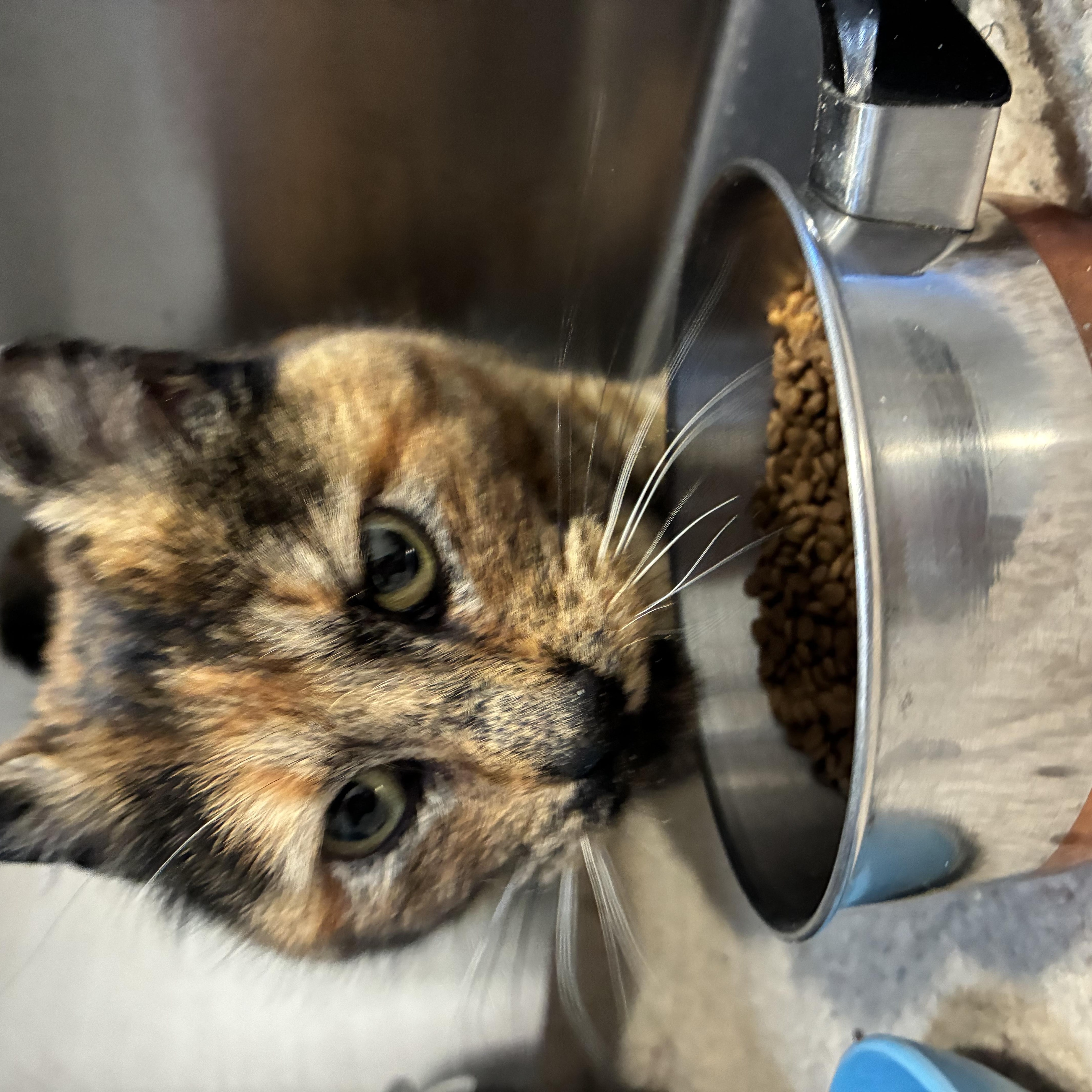 Lorraine thumbnail 2