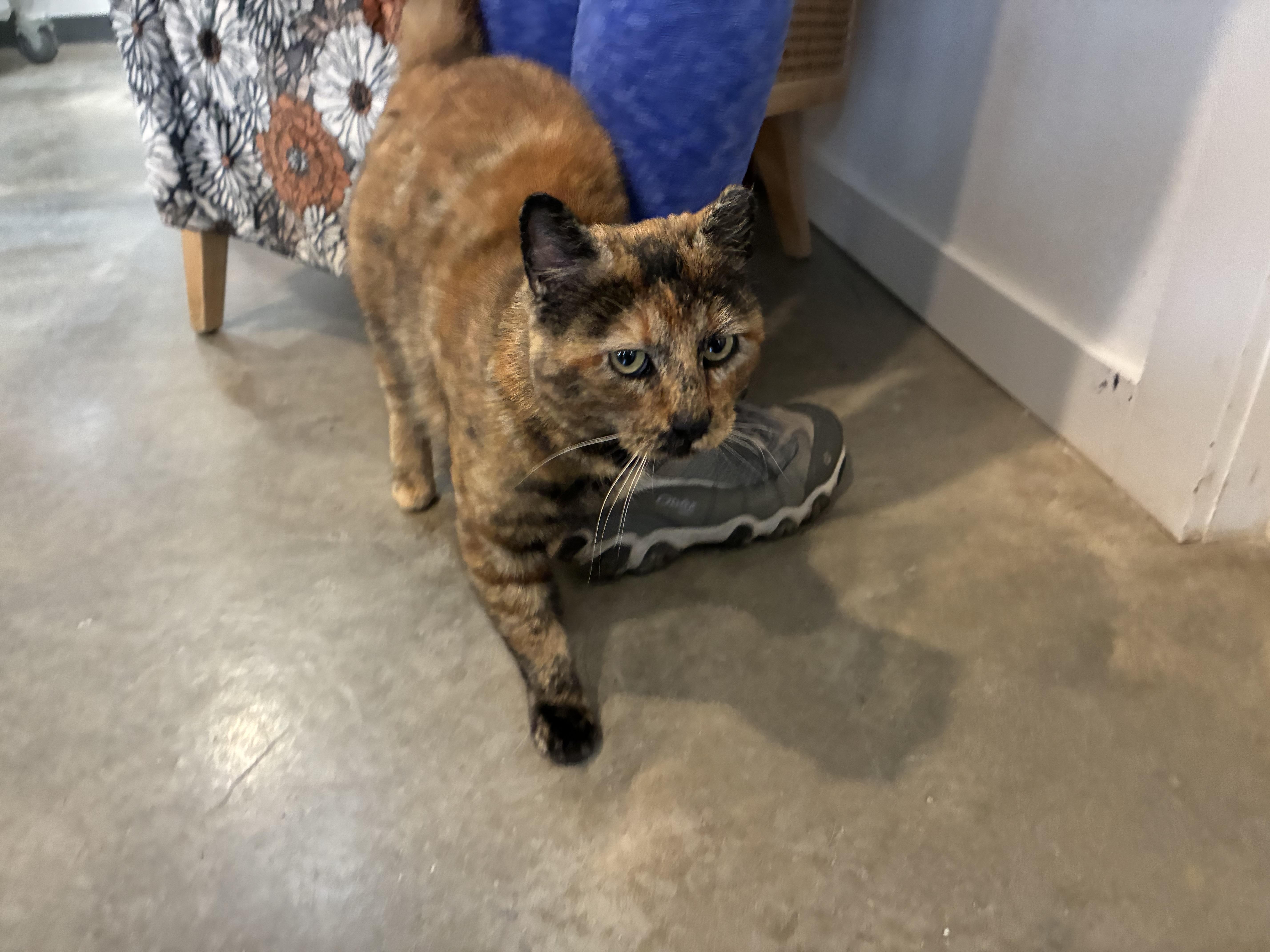 Lorraine thumbnail 3