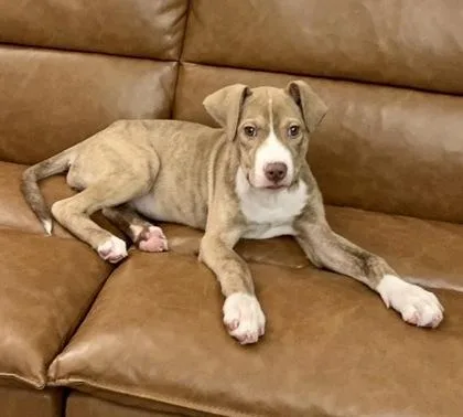 Christina thumbnail 2