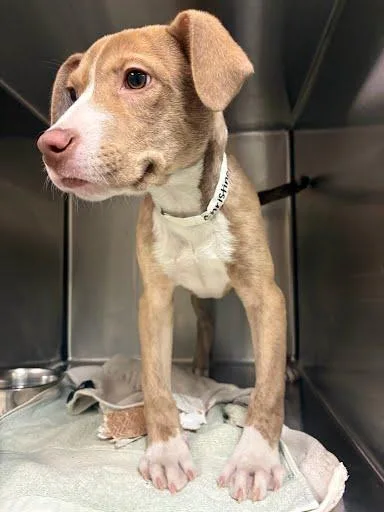 Christina thumbnail 4