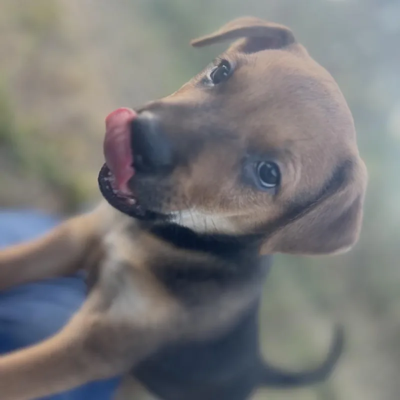Tilly thumbnail 3