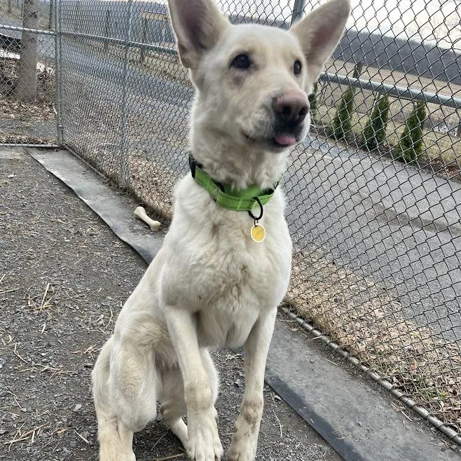 Gretchen thumbnail 2