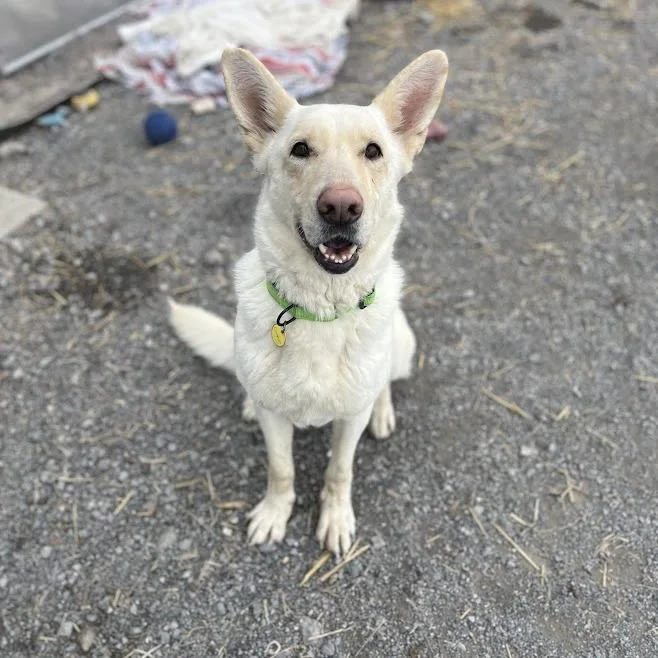 Gretchen thumbnail 3