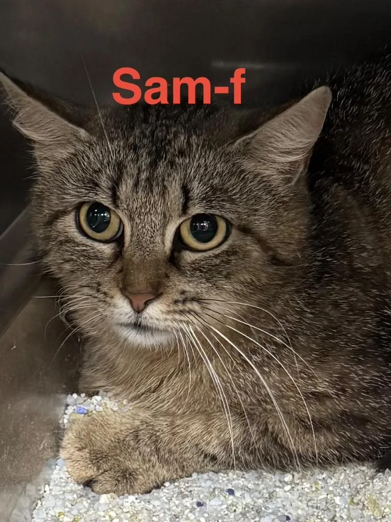Sam