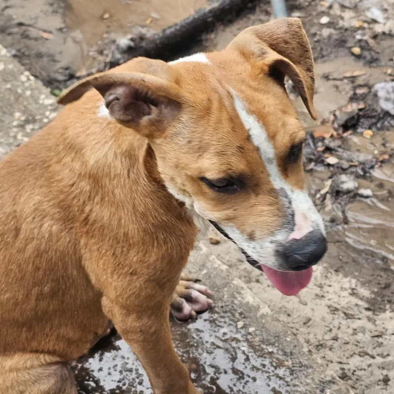 Wrinkles thumbnail 2