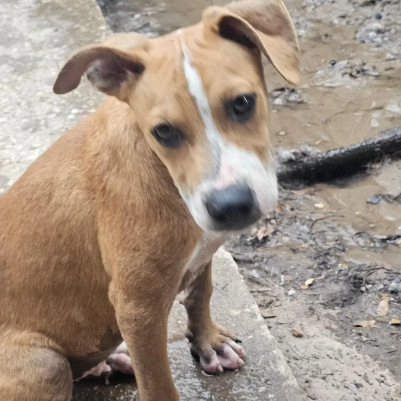 Wrinkles thumbnail 3