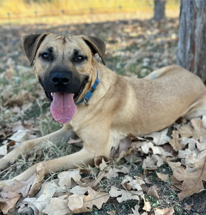 Costanza thumbnail 2