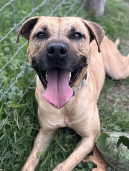 Costanza thumbnail 3