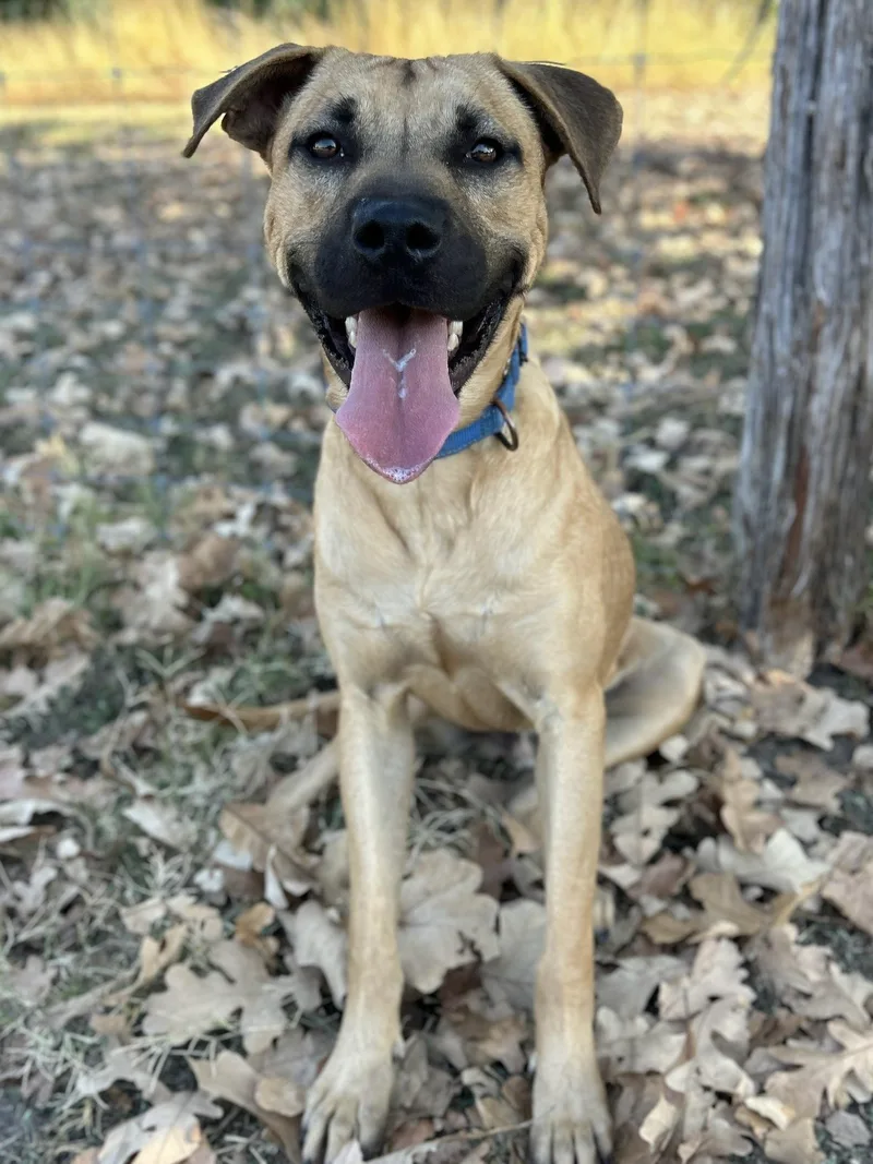 Costanza thumbnail 4