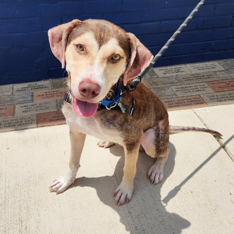 Charlie Fka Cody thumbnail 2