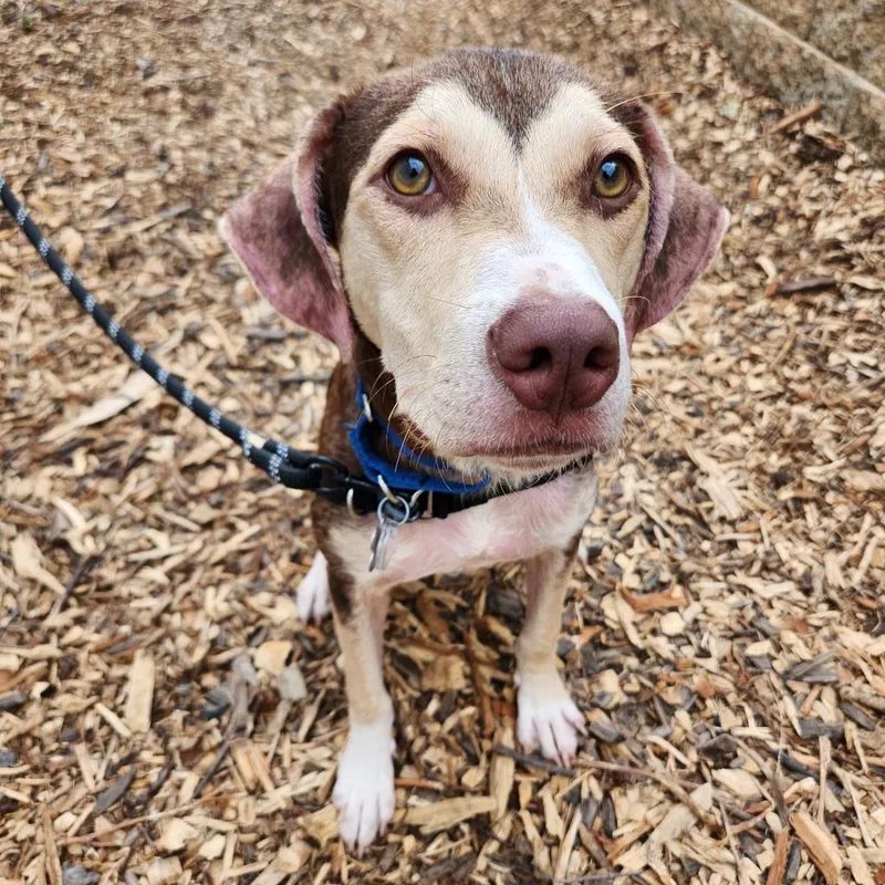 Charlie Fka Cody thumbnail 4