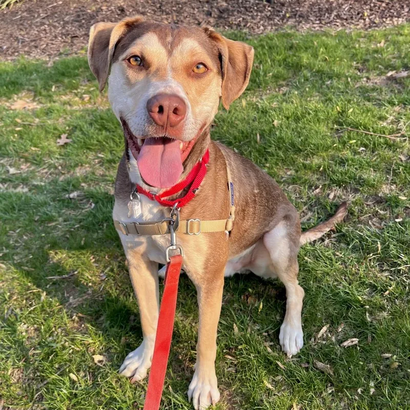 Charlie Fka Cody thumbnail 6