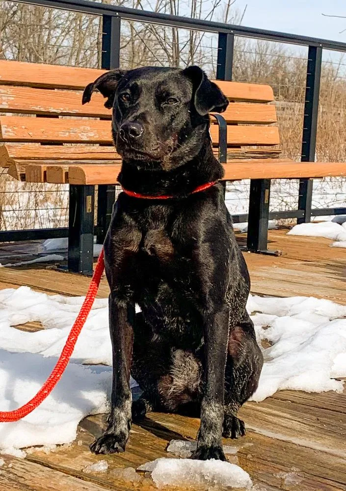 Lilly Ann thumbnail 2