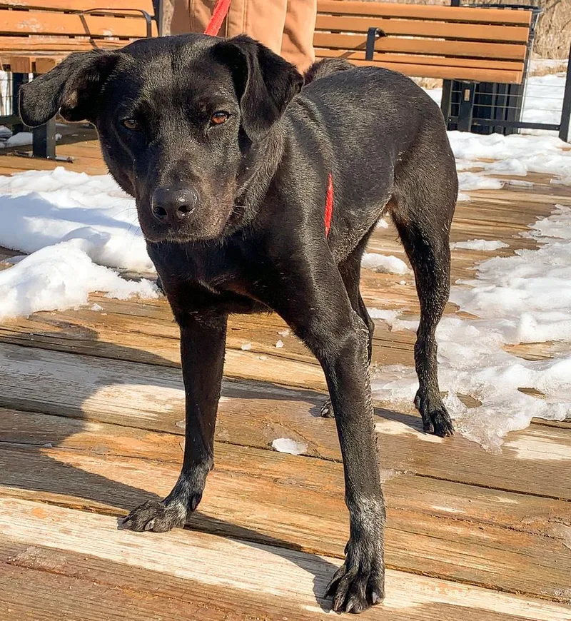 Lilly Ann thumbnail 3