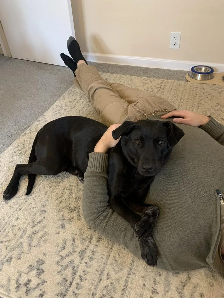 Lilly Ann thumbnail 6