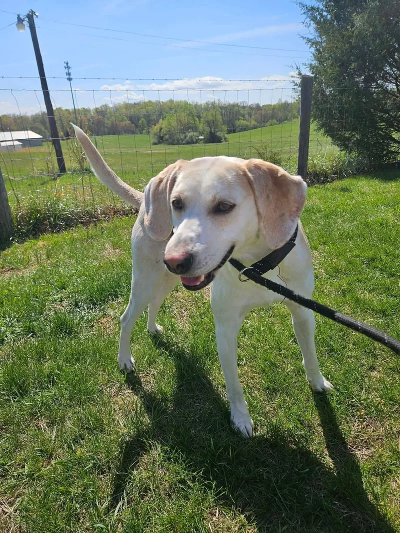 Lil Spoon thumbnail 2