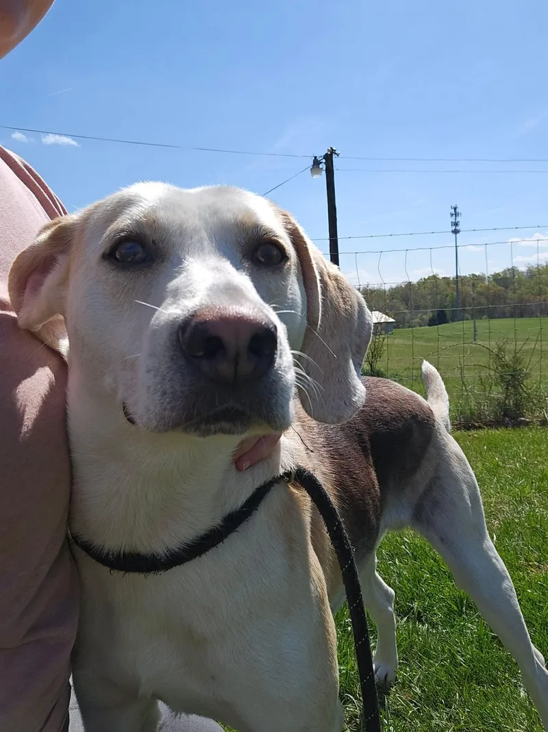 Lil Spoon thumbnail 3