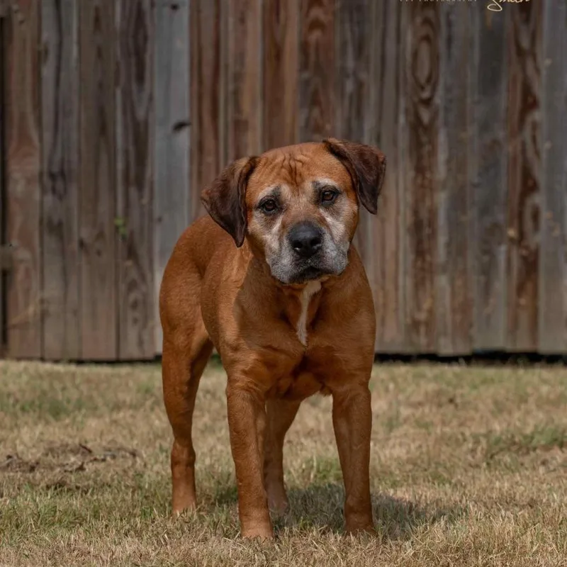 Princess thumbnail 2