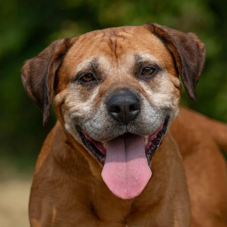 Princess thumbnail 3