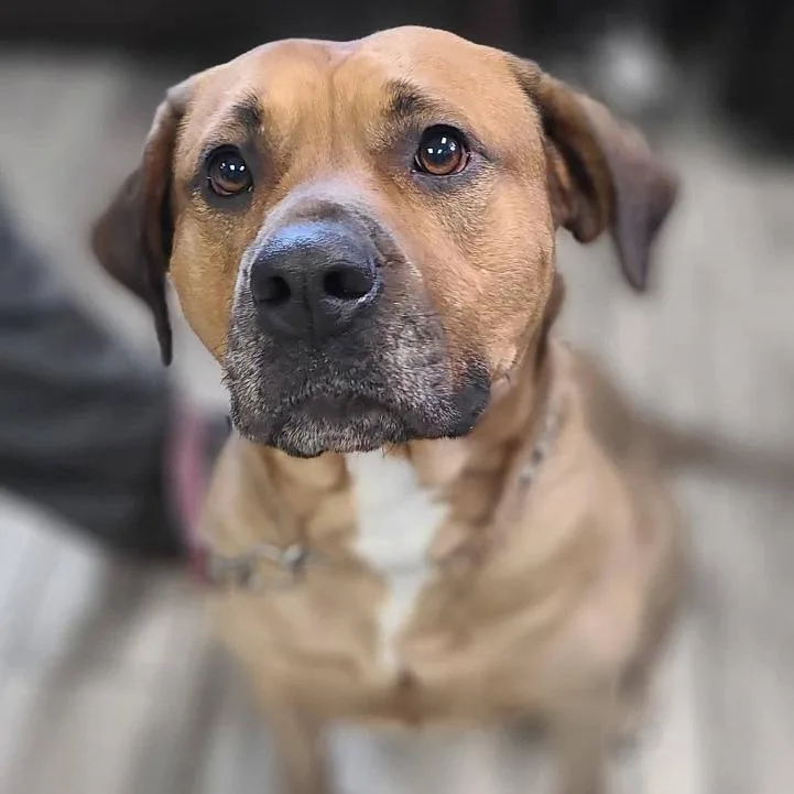 Princess thumbnail 6