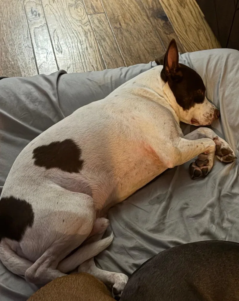 Roscoe Rusk thumbnail 2
