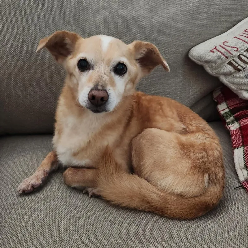 Roger Sterling thumbnail 2