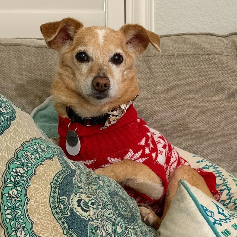 Roger Sterling thumbnail 3