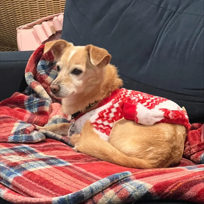 Roger Sterling thumbnail 5