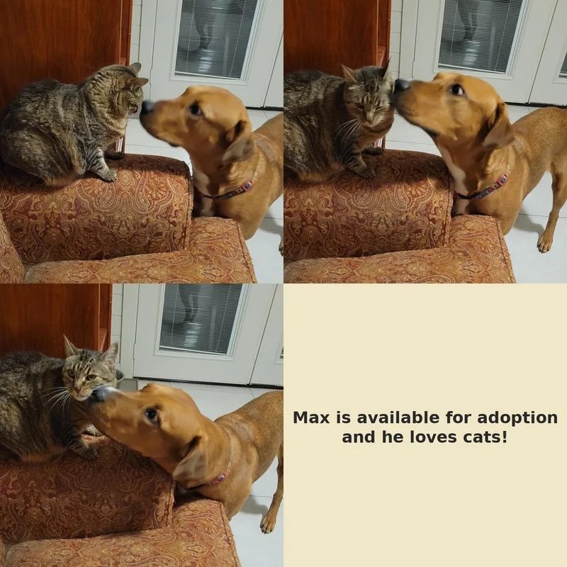 Max thumbnail 2
